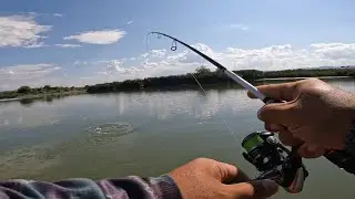 Pescuit la Stiuca pe rau salbatic.Pike fishing river