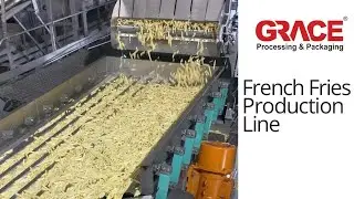 Frozen French Fries Processing Equipment | Frozen Potato Processing Line | Vibratory Conveyors
