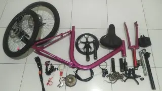 sepeda minion frame 20