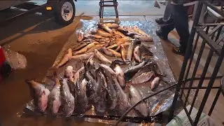 Fishing in Madison WI and Braidwood IL. Kindly like and subscribe our YouTube Channel.