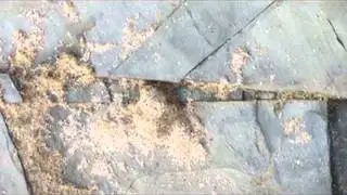 Ed Handley & Ross Adams - The Cornish Ballad Pendeen pt 2