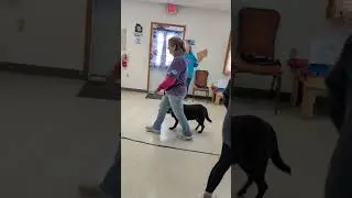 Belle's CGC part1