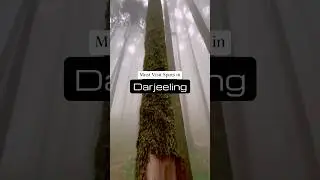 Must visit places in Darjeeling❤️😱😱 #darjeeling #westbengal #nepal