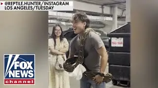 Reptile Hunter captures massive 16-foot surprise in downtown LA