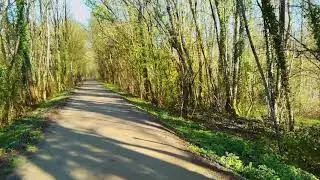 La voie verte de Saint-Berthevin &agrave; Montign&eacute;-le-Brilland le 31 mars 2018