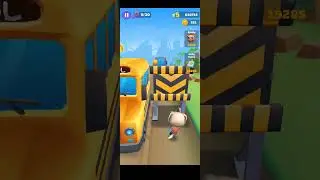 Fun Cat Go Running FLYING DOG