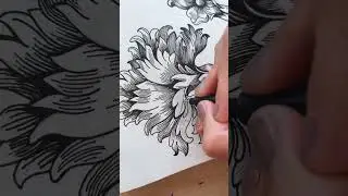 🖋💜...#filigree #scrolls #darkacademia #penandink #art