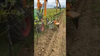 Vine Stem Cleaner SRB 22 || Made By Provitis France || #shorts