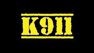 K911 REVIEWS: True Chews Premium Grllers
