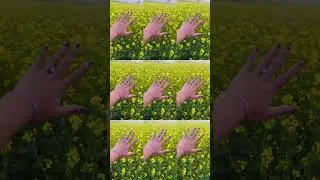Cam to sorsa khet🥰🥰#shortvideo#duet #reels #unfrezzmyaccount #funnyvideos#duet #reels #viralvideo🥰👉💯