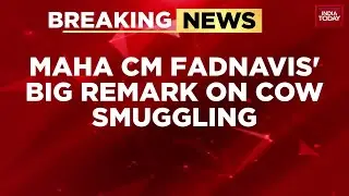 Maharashtra CM: Cow Smugglers to Face Stringent MCOCA Charges | India Today