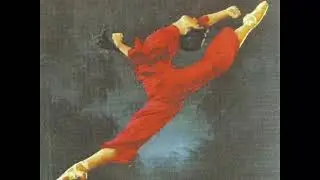 Metamatics - Beautiful Mutations [1999]