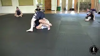 How to do a Knee Cut Pass from Top Half Guard | Martial Arts Brisbane