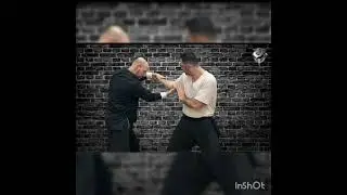 Shaolin Hung Gar/Kuen