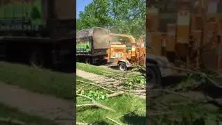 Tree service NJ