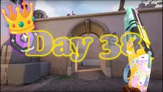 The Shorty King strikes again 👑 | Day 38 |