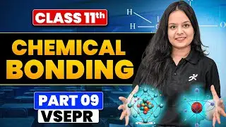 VSEPR Theory | Class 11 Chemical Bonding Part 9 | Gunjan Ma'am | CBSE + NEET