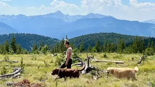 Hiking and Off Roading in our JEEP in BOZEMAN!