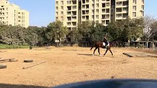 First Time Bridleless Horse Riding | Beginner Rider Training Session