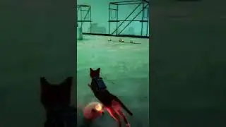 THIS CAT CAN DODGE | Stray