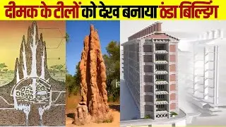 कैसे दीमक के टीले को देख के एक इंजीनियर ने बिल्डिंग को बनाया Termite inspired Building #engineering