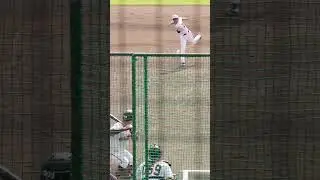 【巨人】世界も注目した育成左腕に超期待！　#shorts #baseball #sports #ジャイアンツ #巨人 #プロ野球 #黄錦豪