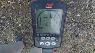 XP Deus 2 vs Minelab Equinox 800 Test Garden High Mineralization EMI