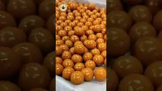Experience the Magic of Dragees at CHO Bee Labs, Mumbai | 🍬 A Sweet Delight Awaits You.