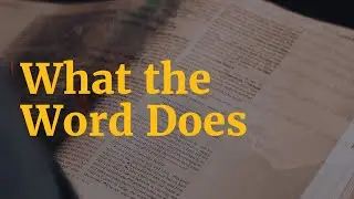 What the Word Does