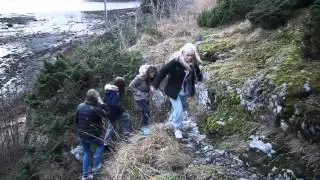 Skoleprosjekt skrekkfilm