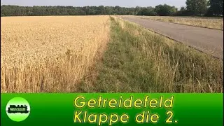 (47) Das Getreidefeld Klappe die 2te