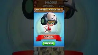 Nace mi nuevo Drag&oacute;n matroix