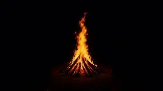 Bonfire Hearts