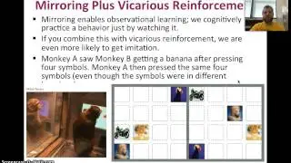 Observational Learning