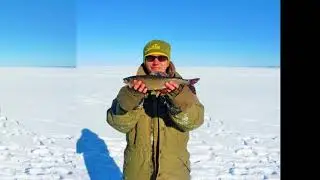 Сегозеро 2017