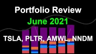 June 2021 Portfolio Review: TSLA, PLTR, AMWL, NNDM