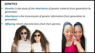 Introduction to genetics in biology