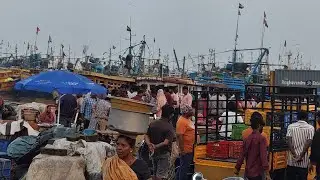 Vizag fishing harbour Wednesday evening live market 17/12/2025