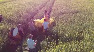 Canola Shoot