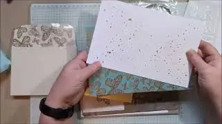 See inside the Delicate Wings Paper Pumpkin kit ~ Beth's Paper Cuts
