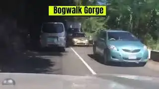 Driving through Bogwalk Gorge | Jamaica