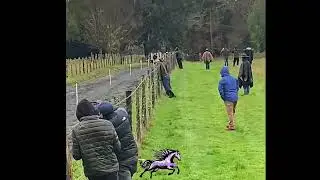 Peluche 🆚Rancherito 📍Centro H&iacute;pico Las Beatas  17/05/2025