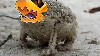 A very angry Conductor