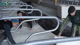 Natura freestall bed installation - IDS Agri