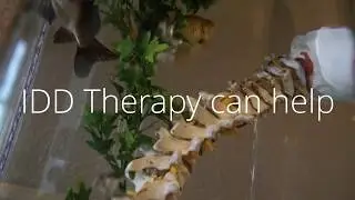 What is IDD therapy?
