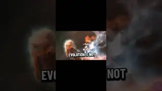 YoonArina - Evolution In Motion