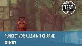 Stray im PS5-Test: Der Indie-Titel punktet vor allem mit Charme (4K, Review, German)