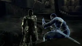 Weird and creepy audio bug in Demon's Souls RPCS3