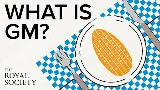 What is genetic modification? | The Royal Society