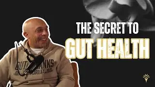 How not to get sick!